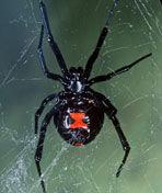 無奇不有[美國探索頻道科學類電視節目]