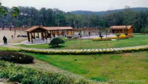 徐州市泉山森林公園 徐州市泉山森林公園