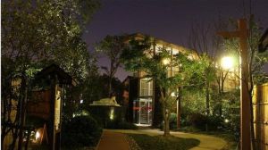 富島溫泉 富島溫泉