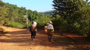 南本新寨村 南本新寨村