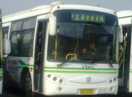 青黃專線 青黃專線