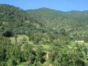 魁母甲村 魁母甲村