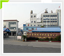 浙江新鳳鳴化纖有限公司