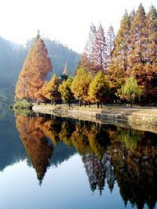 福建將樂龍棲山自然保護區