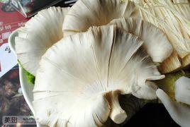 劉一鍋筋頭巴腦(南五馬路店) 劉一鍋筋頭巴腦(南五馬路店)