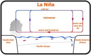 沃克環流圈 沃克環流圈