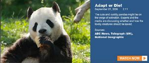 與大熊貓相關的“新聞懶人包”