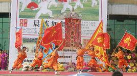 湛江民間武術 湛江民間武術