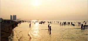 沙灘浴場旅遊觀光車 沙灘浴場旅遊觀光車