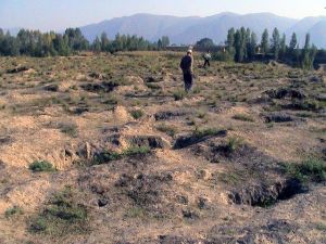 柳灣遺址 柳灣遺址