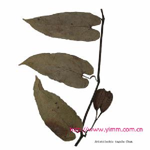 黑面防己 黑面防己