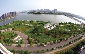 姚江公園 姚江公園