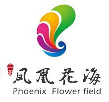 三亞鳳凰花海 三亞鳳凰花海