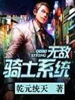 無敵騎士系統 無敵騎士系統