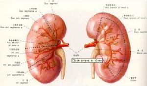 燒傷後急性腎功能衰竭