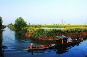 洪湖濕地自然保護區 洪湖濕地自然保護區