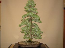 杜松自然保護區 杜松自然保護區