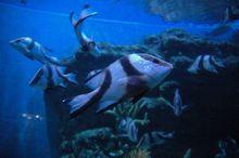 合肥極地海洋世界