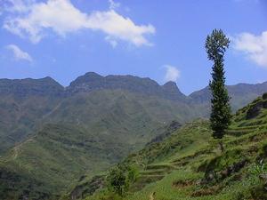 貴州省沿河縣新景鄉
