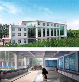 山東濰微科技股份有限公司 山東濰微科技股份有限公司