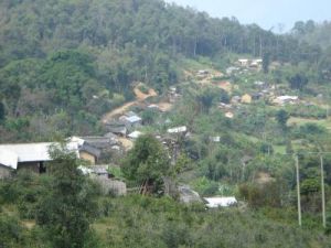 軍烈自然村 軍烈自然村