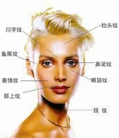 臉部 臉部