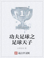 功夫足球之足球天子