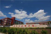 東營市技術學院