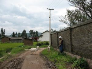 上曲江村 上曲江村