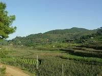 集中自然村 集中自然村