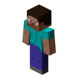 null[《Minecraft》玩家的初始角色]