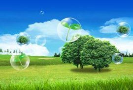 生態環境建設 生態環境建設