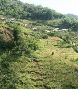 大林格自然村 大林格自然村