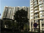 水木年華花園 水木年華花園