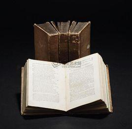 史詩[一種莊嚴的文學體裁]