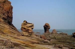駱駝山海濱森林公園