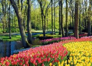 庫肯霍夫公園 庫肯霍夫公園