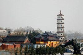 興國寺遺址生態園 興國寺遺址生態園