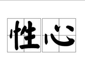 性心 性心