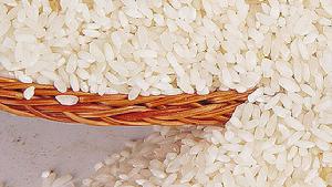 營養強化米
