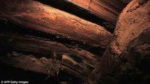 諾亞方舟中發現的木製橫樑