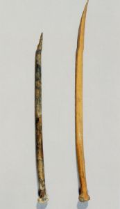 河姆渡文化骨牙器