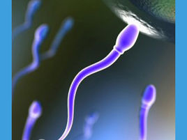 精液液化時間 精液液化時間