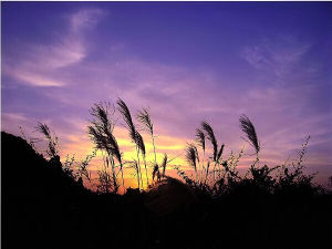 十月,流年 十月,流年