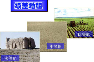 位置級差地租 位置級差地租