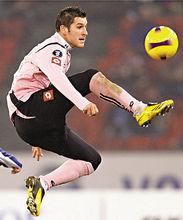 費沙&middot;金寶