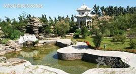 銀川植物園 銀川植物園