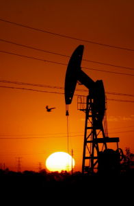 天津北大港濕地