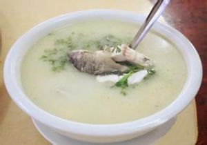 玉須金電湯 玉須金電湯