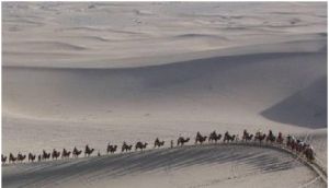 絲綢之路上的駝隊